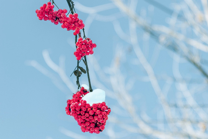 【萊沃醫(yī)療：知識分享】今日小雪，快“藏”好這份健康秘籍！
